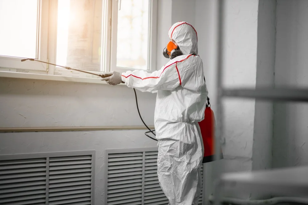 Professional mold remediation services in Hiram, ME